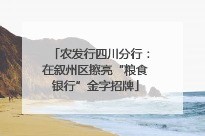 农发行四川分行：在叙州区擦亮“粮食银行”金字招牌